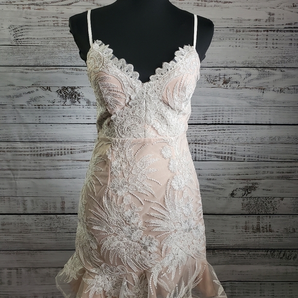 Angel Biba Dresses Nwt Angel Biba Dress Poshmark